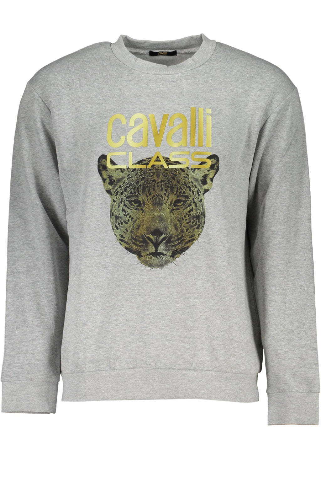 CAVALLI CLASS FELPA SENZA ZIP UOMO GRIGIO - Grandi Firme Lab